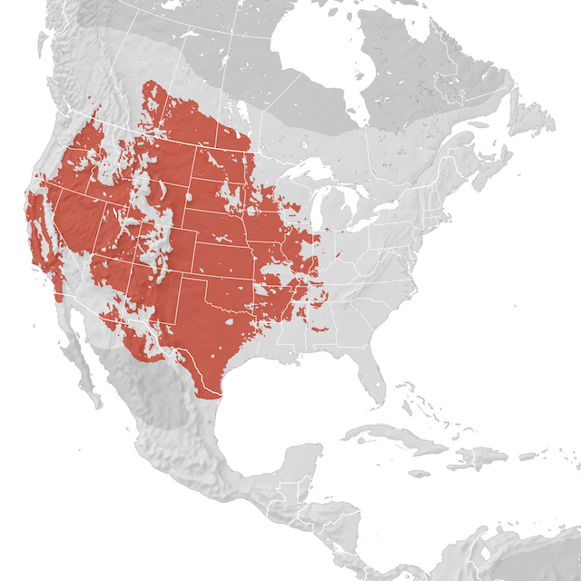 Range Map