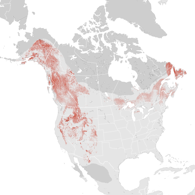 Abundance Map