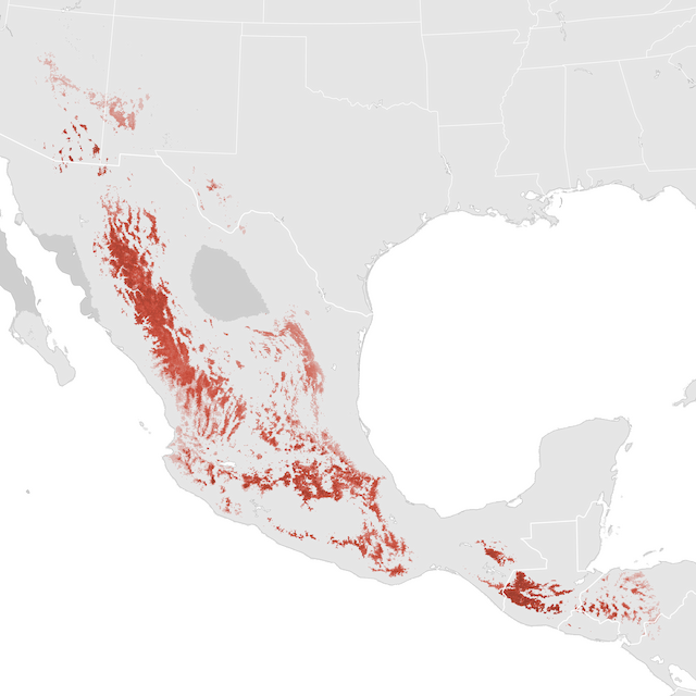 Abundance Map