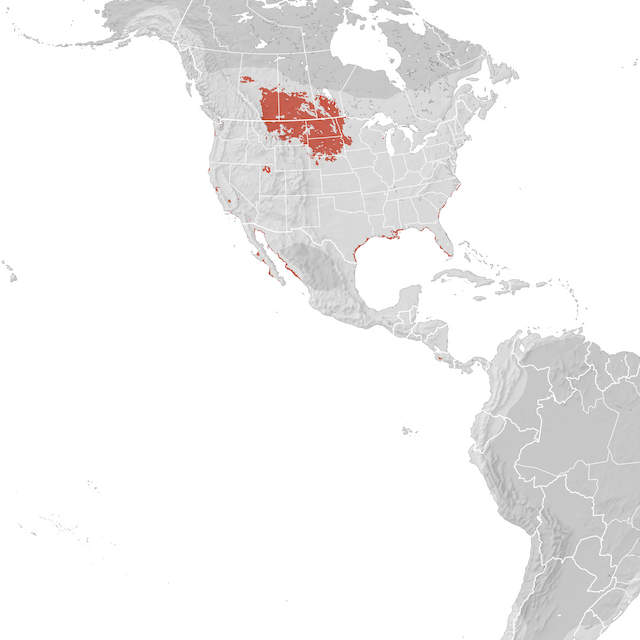 Range Map