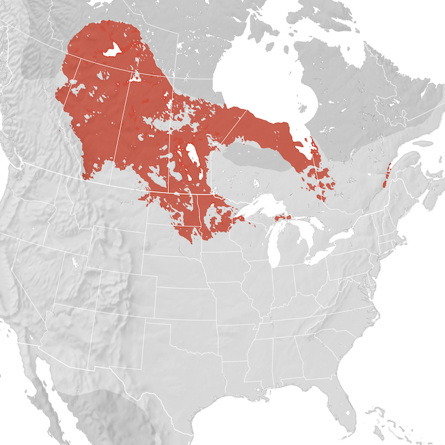 Range Map