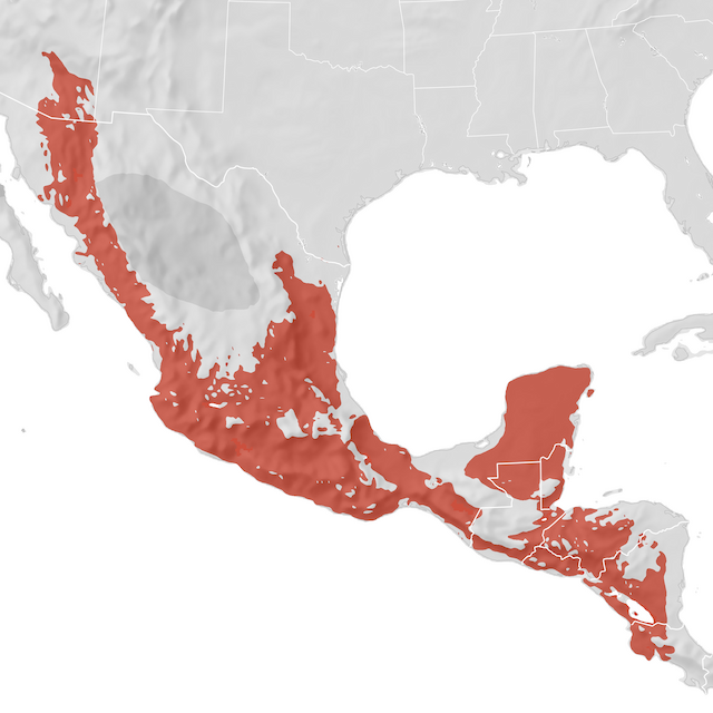 Range Map