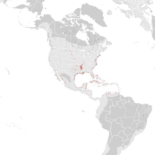 Abundance Map