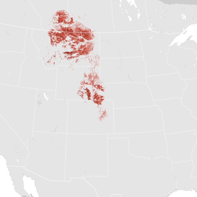 Abundance Map
