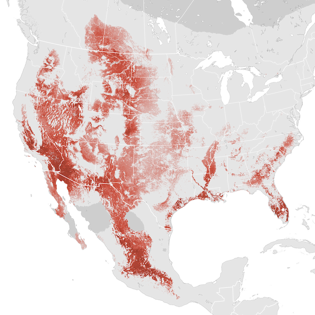Abundance Map
