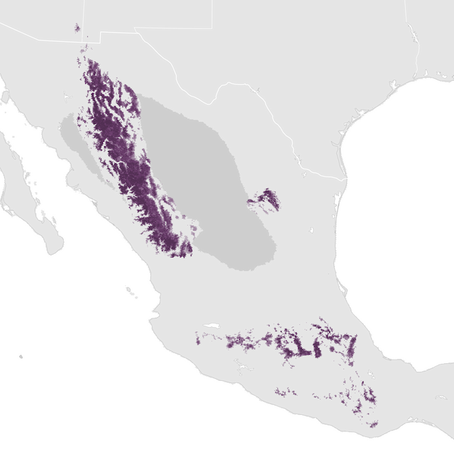 Abundance Map