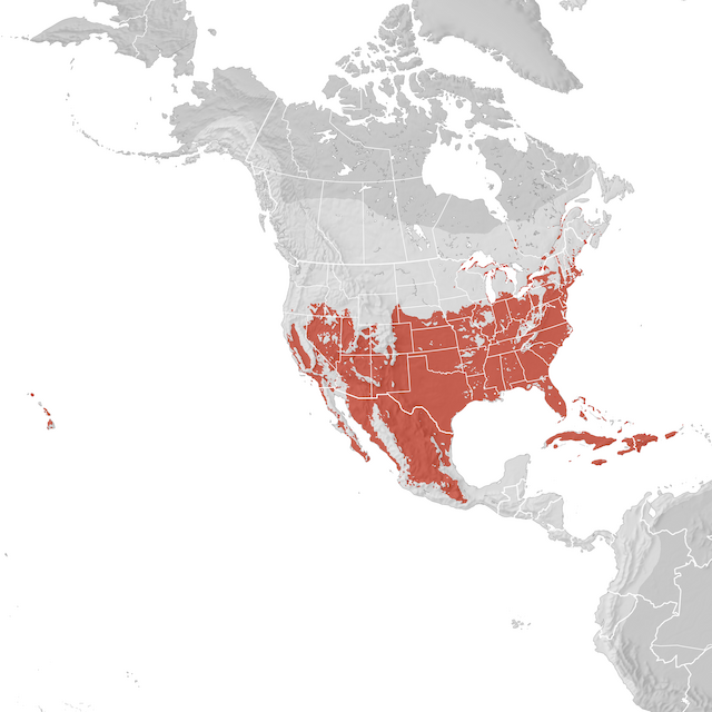 Range Map