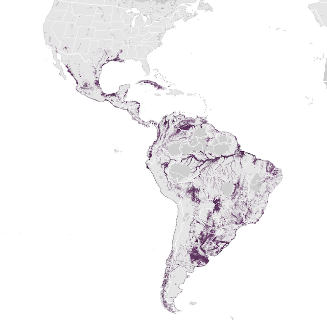 Abundance Map