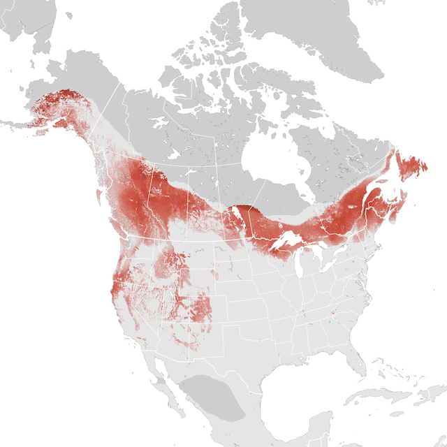 Abundance Map