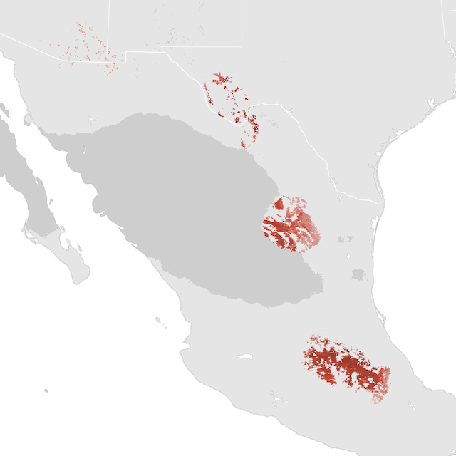 Abundance Map