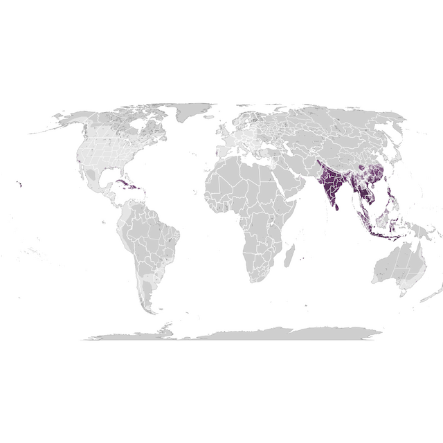 Abundance Map