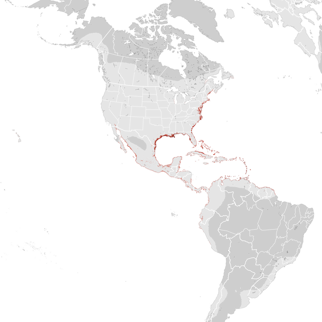Abundance Map