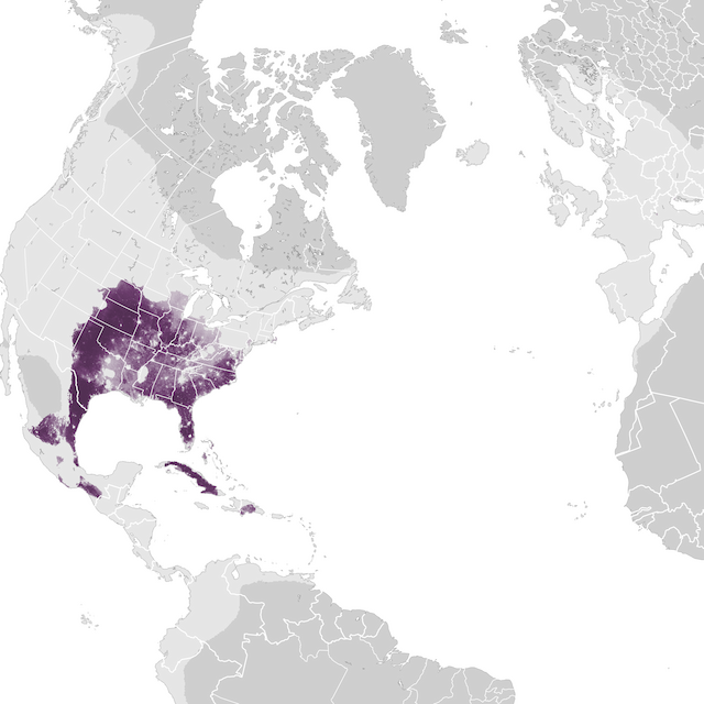 Abundance Map