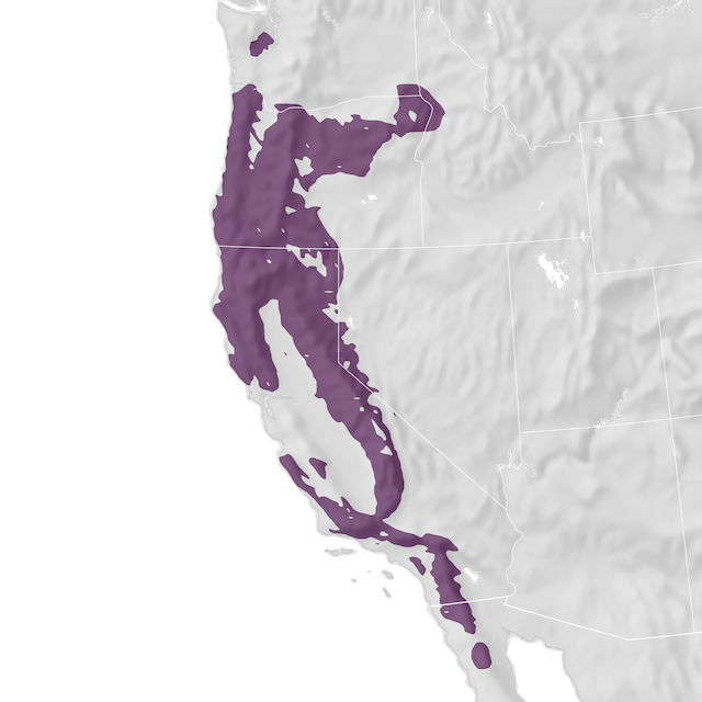 Range Map