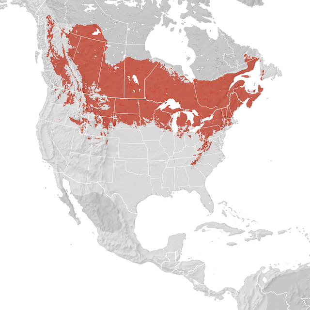 Range Map