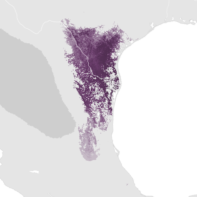 Abundance Map