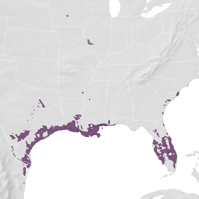 Range Map