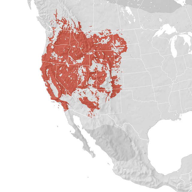 Range Map