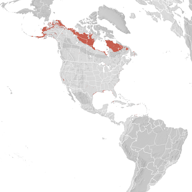 Range Map
