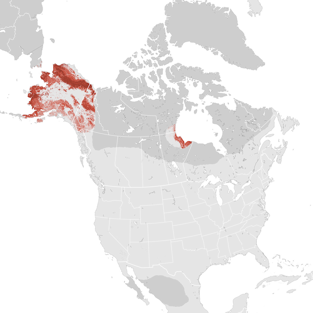 Abundance Map