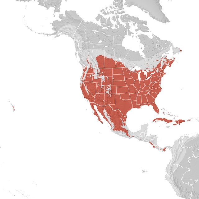 Range Map