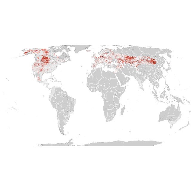 Abundance Map