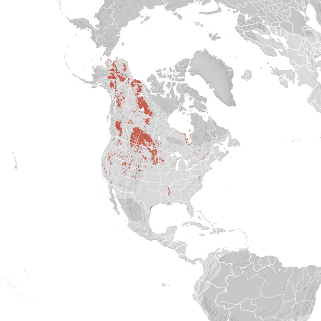 Range Map