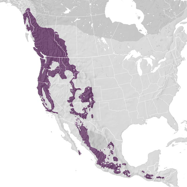 Range Map
