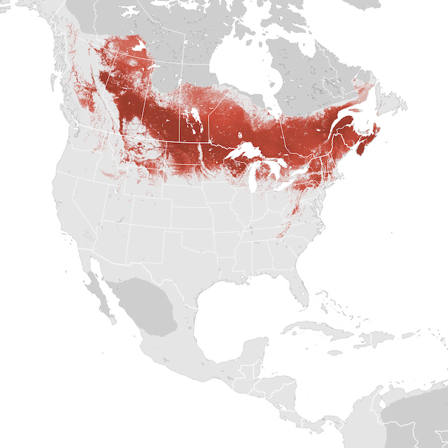 Abundance Map