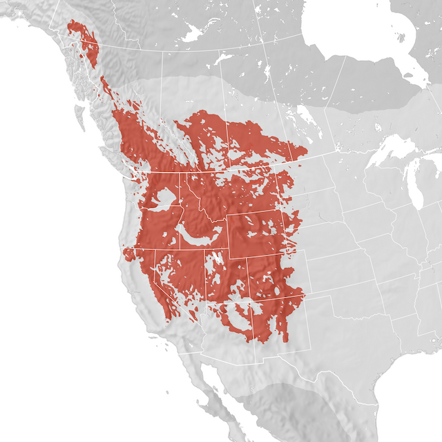 Range Map