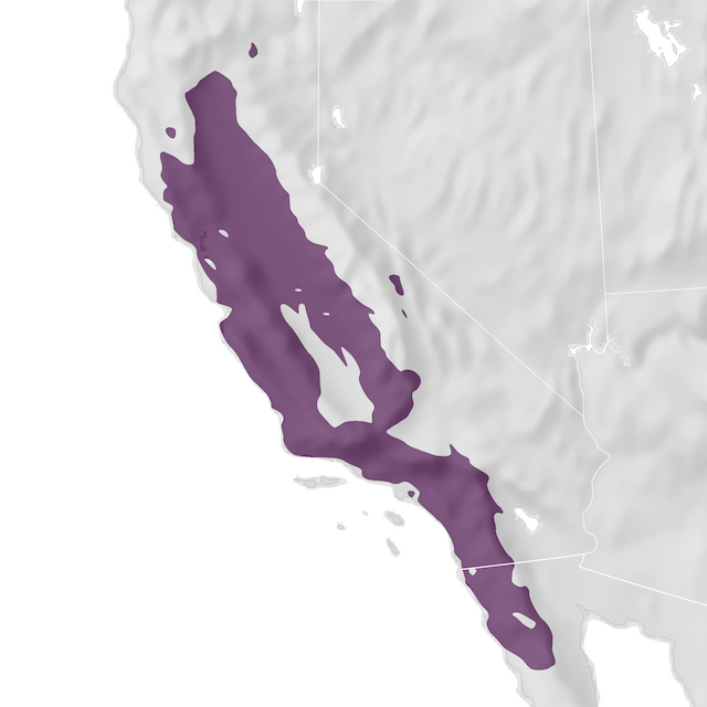 Range Map