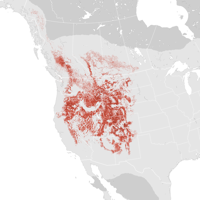 Abundance Map