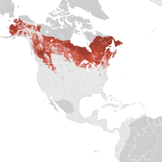 Abundance Map