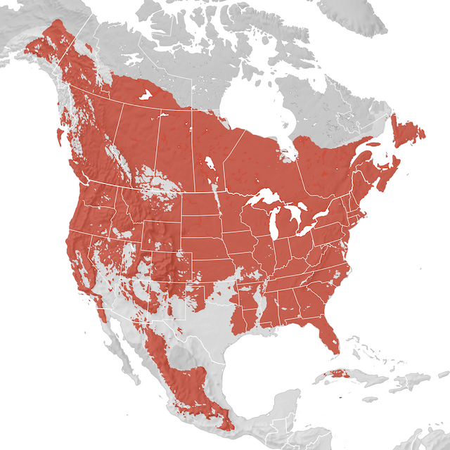 Range Map