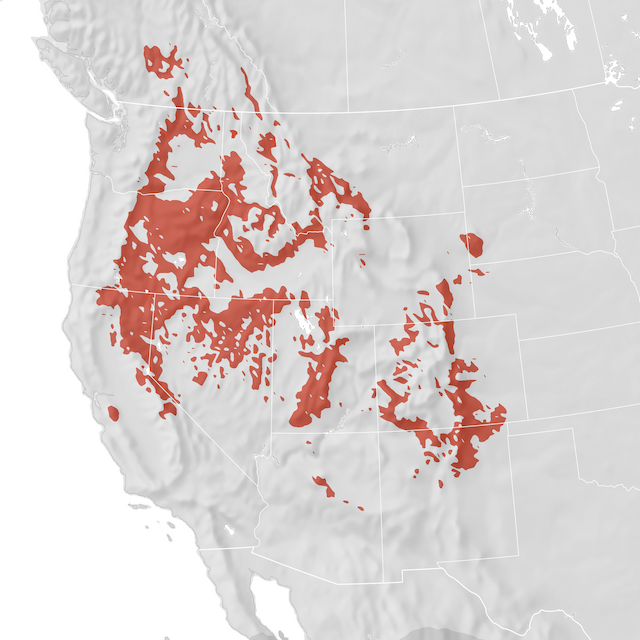 Range Map