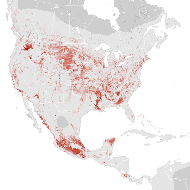 Abundance Map