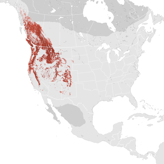 Abundance Map