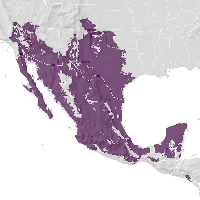 Range Map