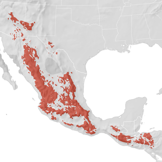Range Map