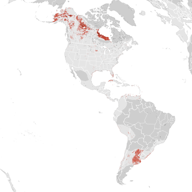 Abundance Map