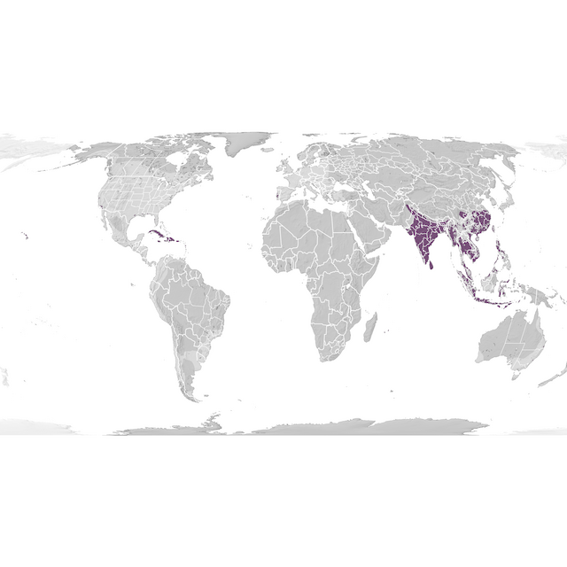 Range Map