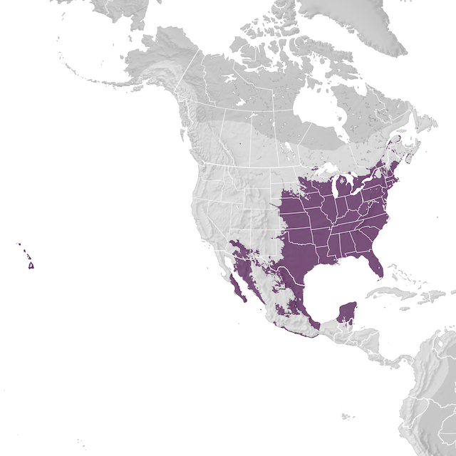 Range Map