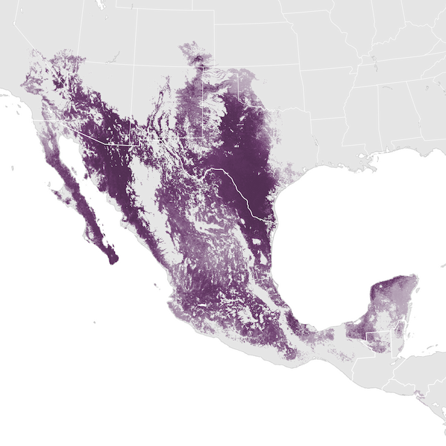 Abundance Map
