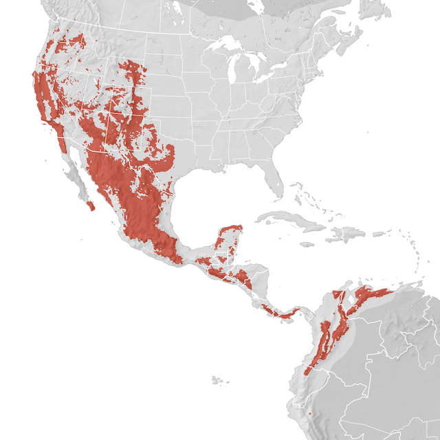 Range Map