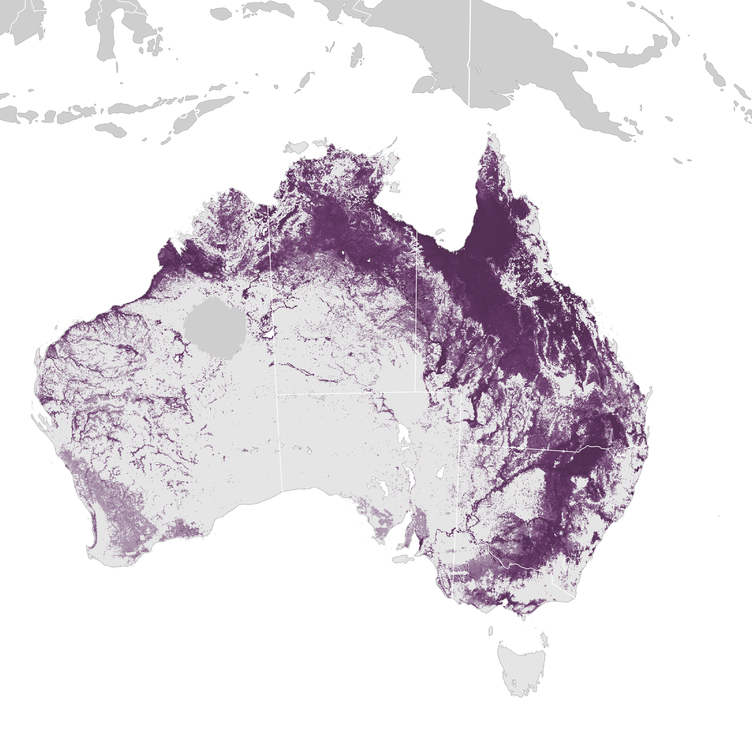 Magpie-lark - Grallina cyanoleuca - Birds of the World