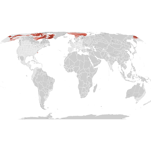 Abundance Map