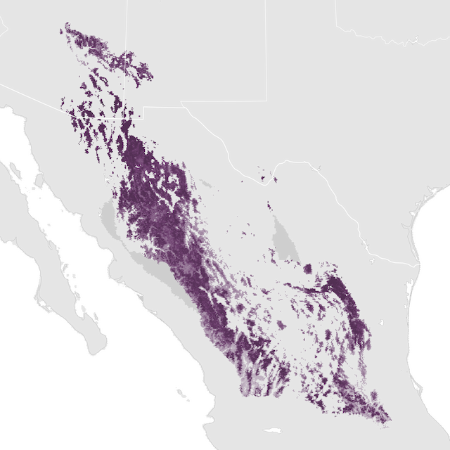 Abundance Map