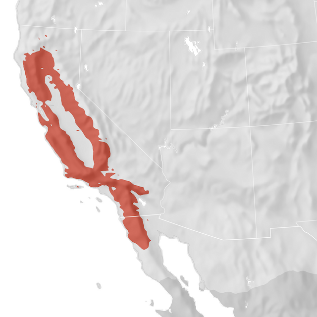 Range Map