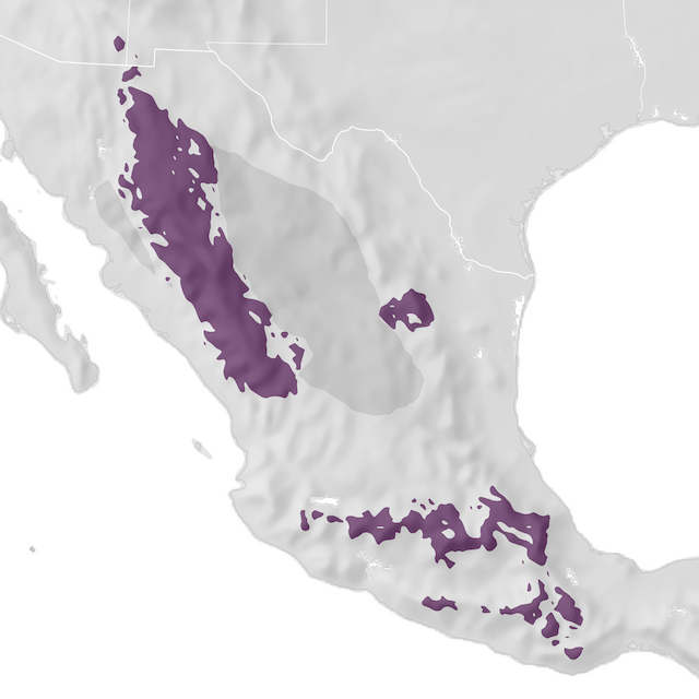 Range Map