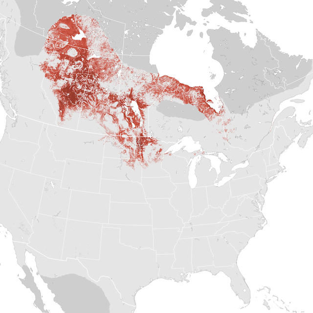 Abundance Map